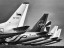 CSA - Boeing 737