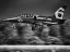 L39-Albatros Breitling Jet team
